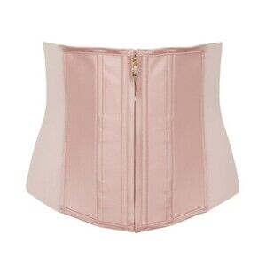 SPANX Under Sculpture Waist Cincher Cameo Blush Sz M 10212R  NWT $168
